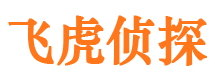 白云侦探公司